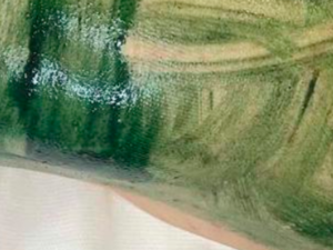 Peeling aux algues